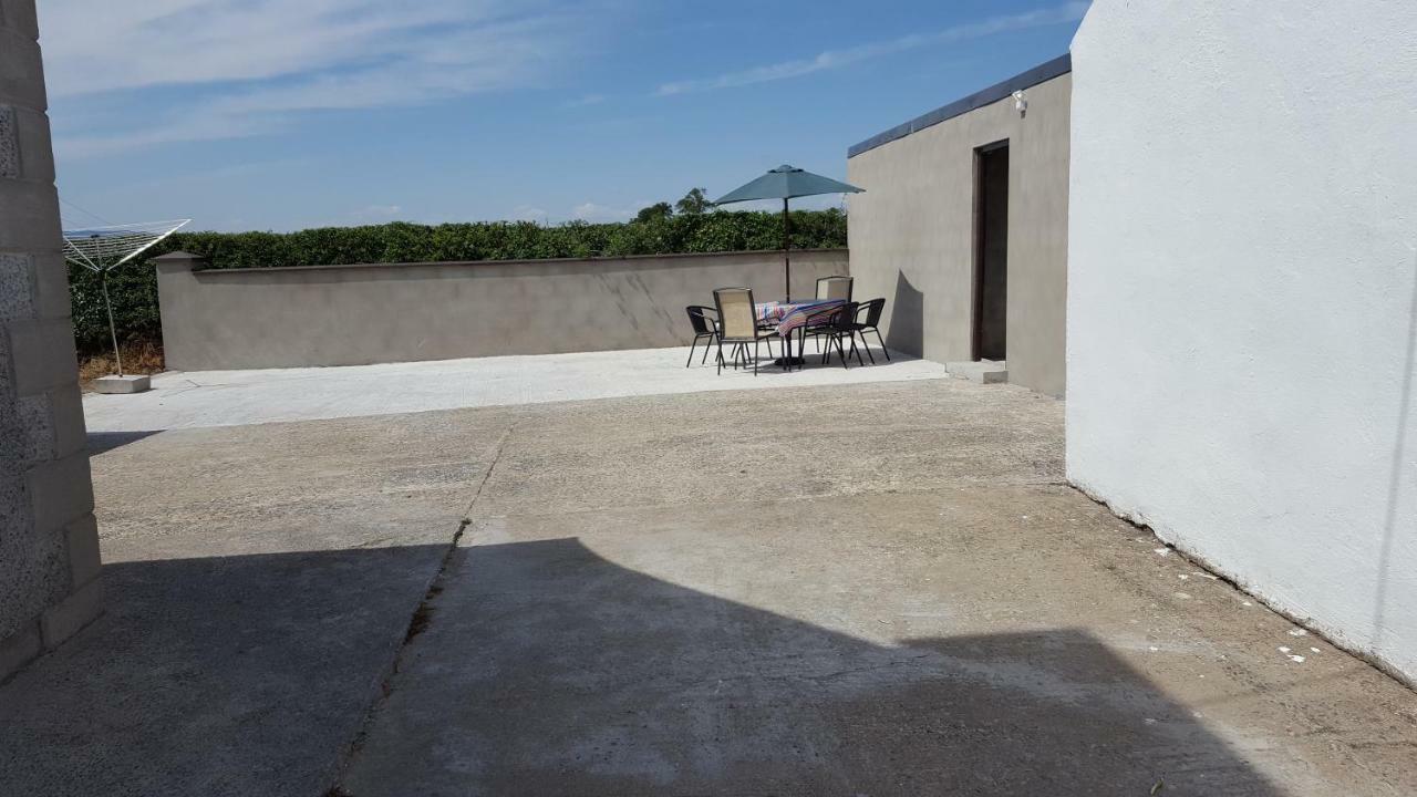 ניוארי Holly Cottage Mayobridge מראה חיצוני תמונה