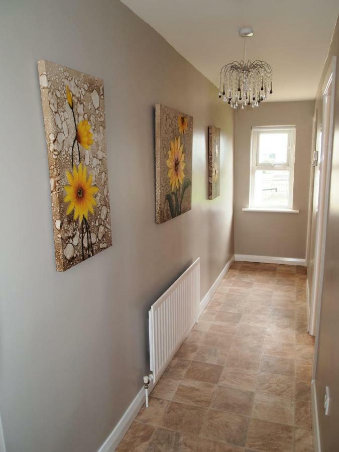 ניוארי Holly Cottage Mayobridge מראה חיצוני תמונה